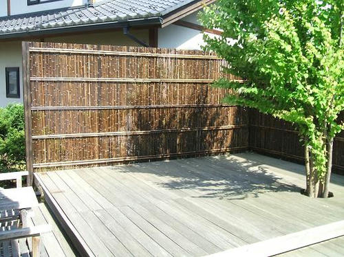 e64a2300.JPG