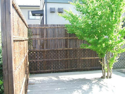 a48e7018.JPG