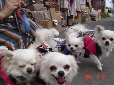 DSC03050.JPG