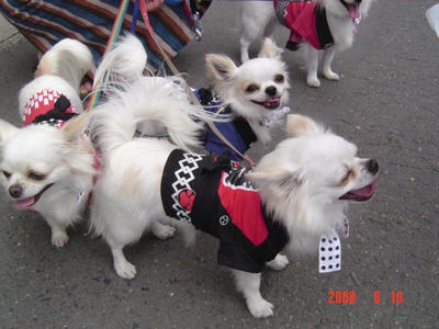 DSC03052.JPG