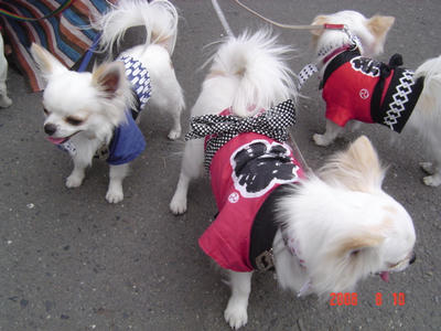 DSC03049.JPG