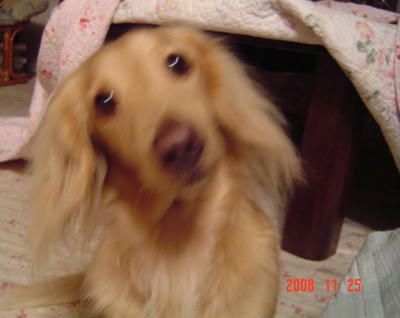 DSC03395.JPG