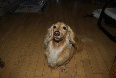 DSC_0042.JPG
