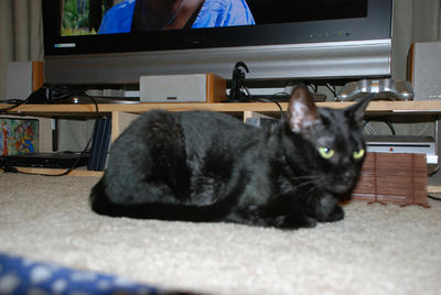DSC_0048.JPG
