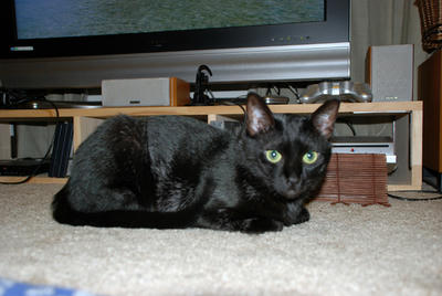 DSC_0049.JPG
