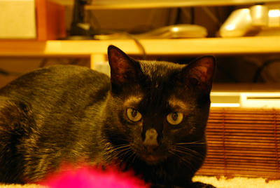 DSC_0031.JPG