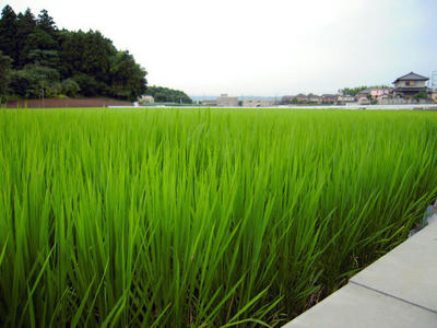 DSCN0078.jpg