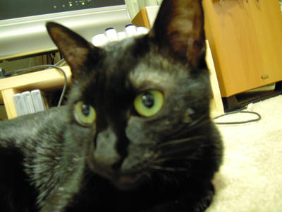 DSCN0045.JPG