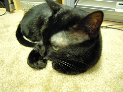 DSCN0043.JPG