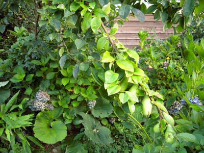DSCN0123.jpg