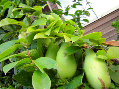 DSCN0125.jpg