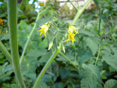 DSCN0141.jpg