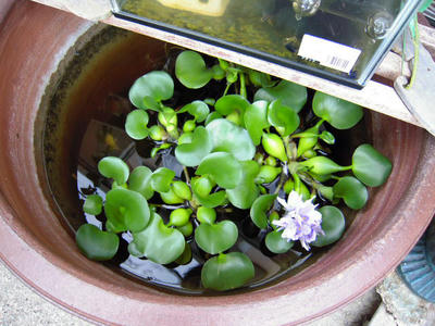 DSCN0153.jpg