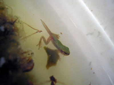 DSCN0159.jpg