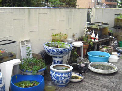 DSCN0164.jpg