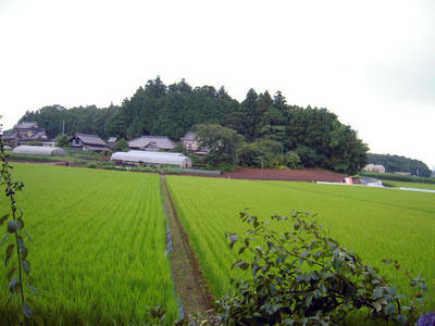 DSCN0194.jpg