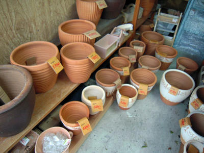 DSCN0206.jpg