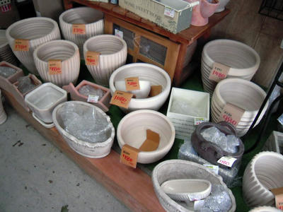 DSCN0207.jpg