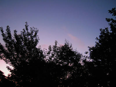 DSCN0443.JPG