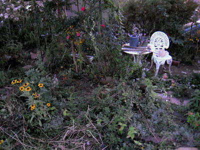 DSCN0446.JPG
