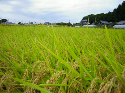 DSCN0450.JPG