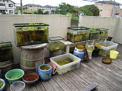 DSCN0455.JPG