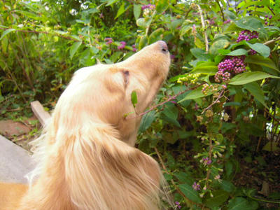 DSCN0486.JPG