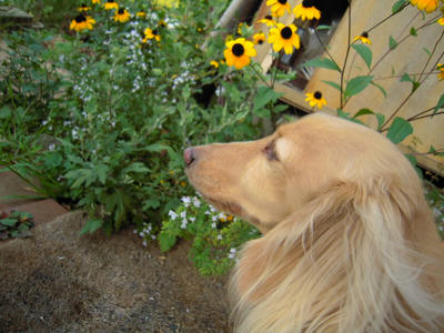 DSCN0487.JPG