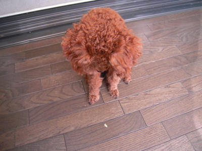 DSCN0492.JPG