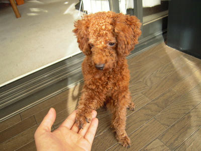 DSCN0491.JPG