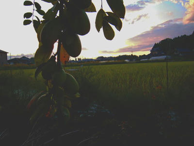 DSCN0548.JPG