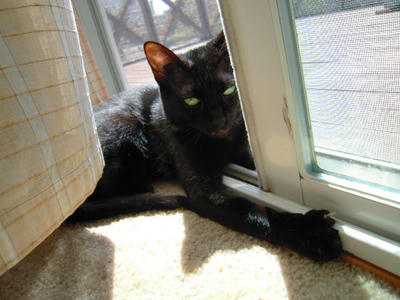 DSCN0569.JPG