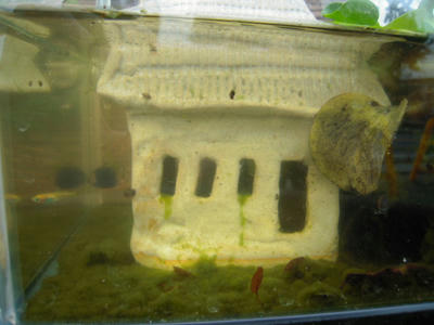 DSCN0634.JPG
