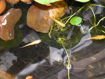 DSCN0629.JPG