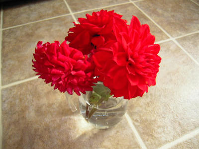 DSCN0750.JPG