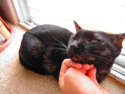 DSCN0749.JPG