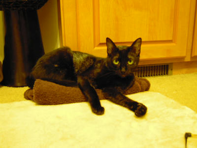 DSCN0751.JPG