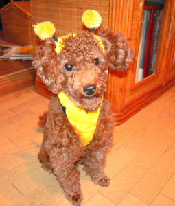 DSCN0780.JPG