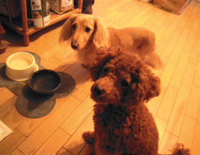 DSCN0855.JPG