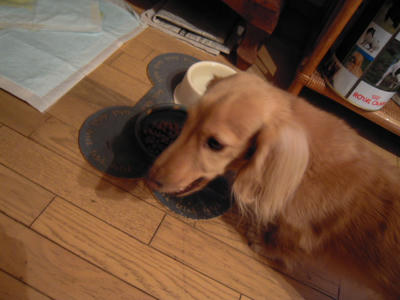 DSCN0844.JPG