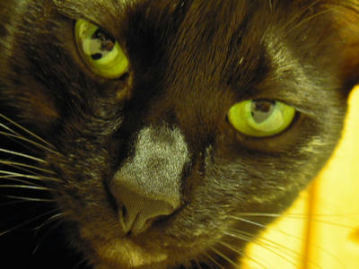 DSCN0755.JPG