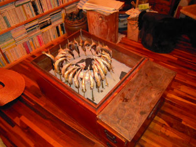 DSCN0933.JPG