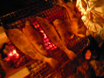 DSCN0937.JPG