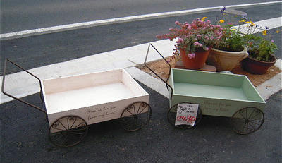 DSCN0974.JPG