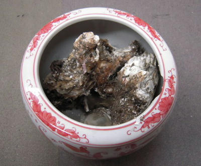DSCN1182.JPG
