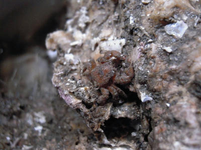 DSCN1186.JPG
