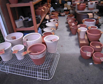 DSCN1270.JPG