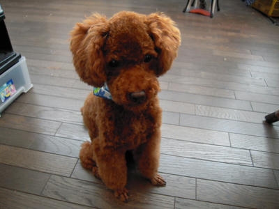 DSCN1406.JPG