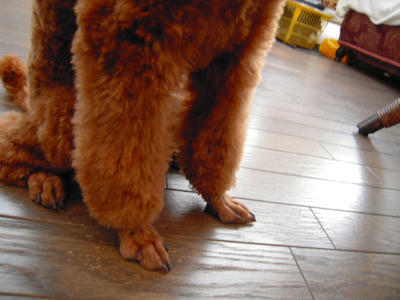 DSCN1407.JPG