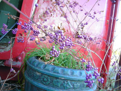 DSCN1394.JPG